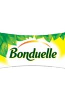 Продукция компании Бондюэль